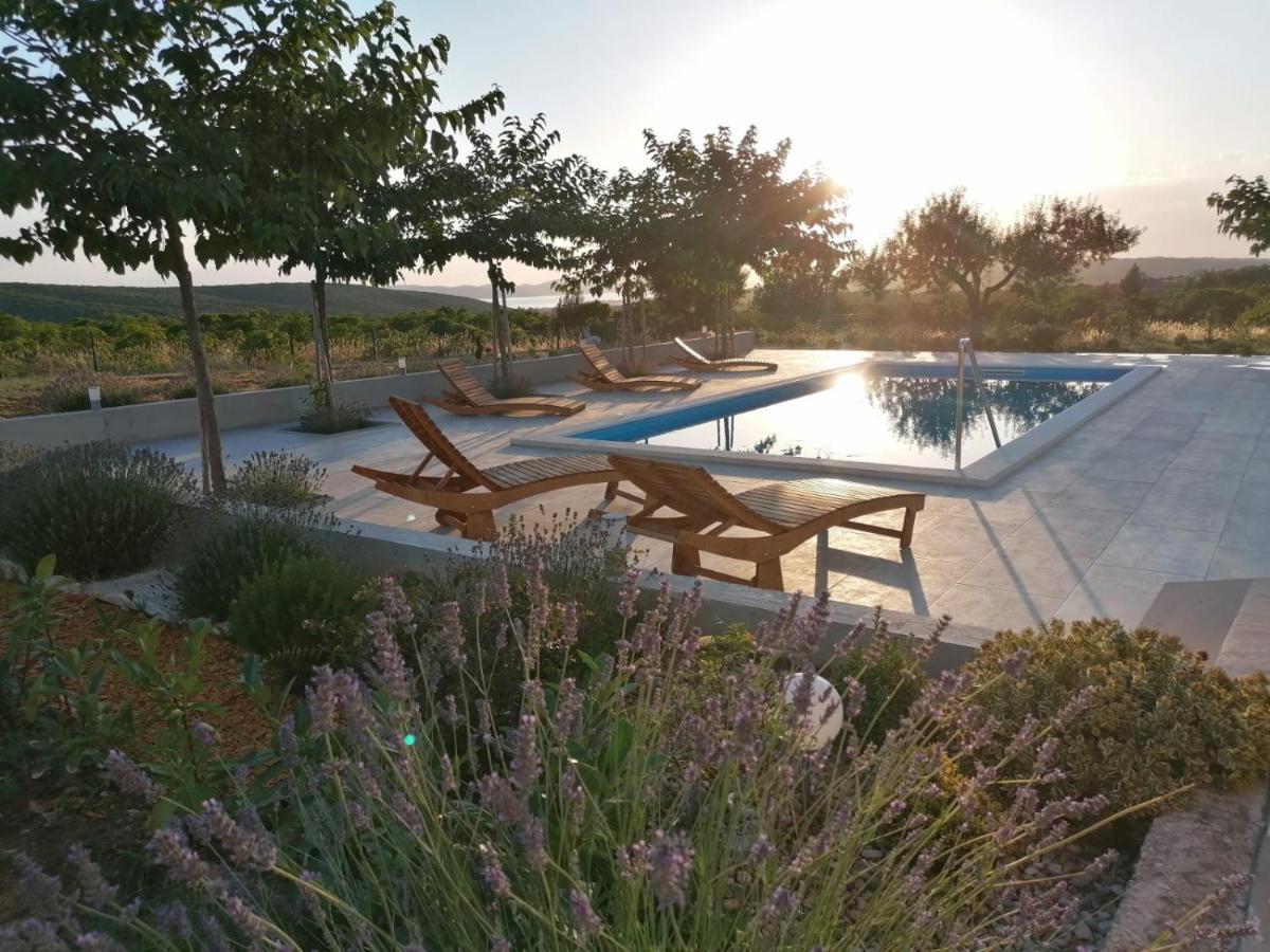 Villa Jelena ザダル エクステリア 写真