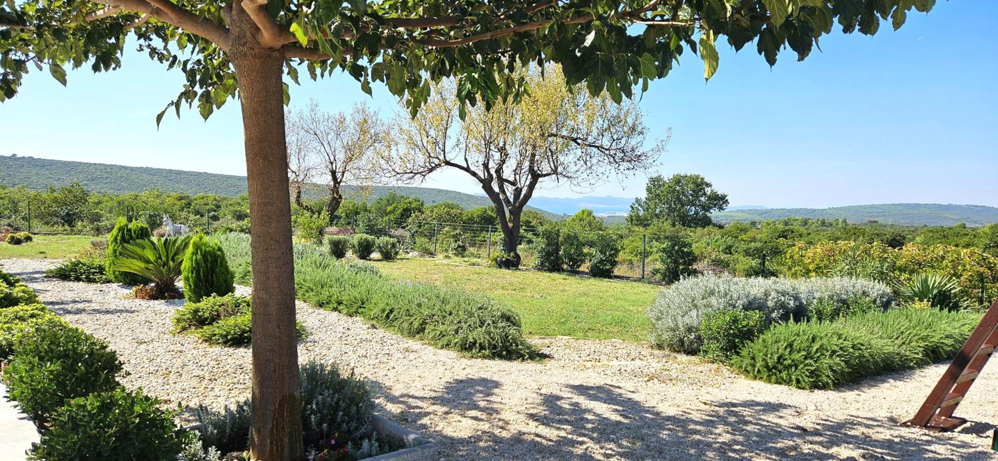 Villa Jelena ザダル エクステリア 写真